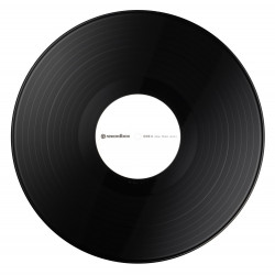 Pioneer Vinyl Rekordbox - RB-VS1-K